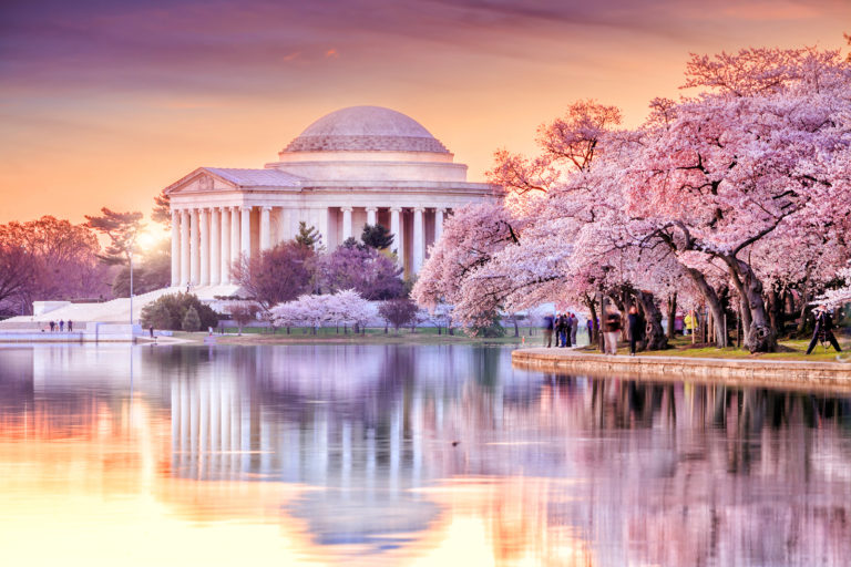 Shutterstock Jefferson Memorial Cherry Blossoms Resized 768x512 